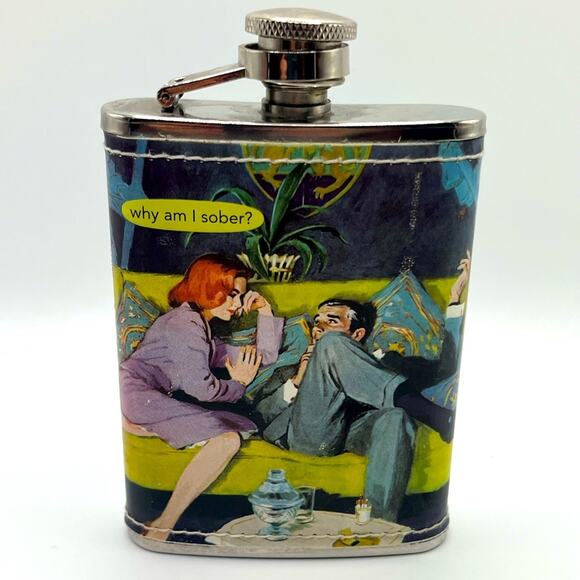 Anne Taintor stainless steel flask “why am I sober”? - Picture 1 of 5